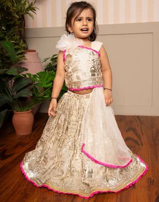 Cream embroidered georgette lehenga 2