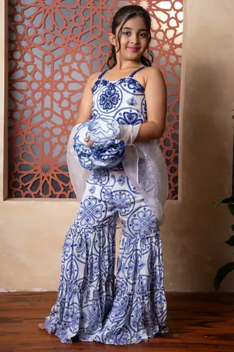 Blue embroidered organza sharara 