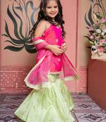 Pink & Green Embroidered silk sharara