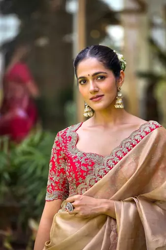 Chiku sequin Embroidered Gold Tissue silk blend Saree