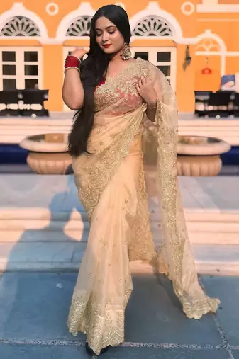 Cream sequin Zari Embroidered Nylon Organza Saree