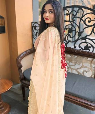 Cream sequin Zari Embroidered Nylon Organza Saree 3