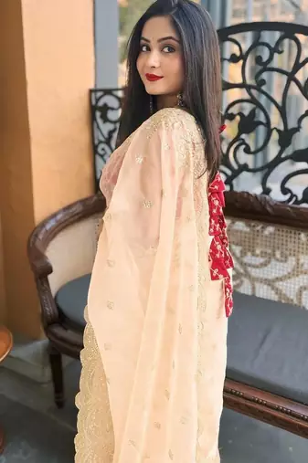 Cream sequin Zari Embroidered Nylon Organza Saree