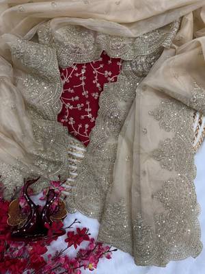 Cream sequin Zari Embroidered Nylon Organza Saree 5