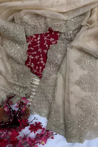 Cream sequin Zari Embroidered Nylon Organza Saree