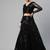 Black Embroidered Sequinned Semi-stitched Lehenga & Blouse With Dupatta