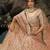 Brown Zari Worked Soft Net Wedding Wear Lehenga Choli