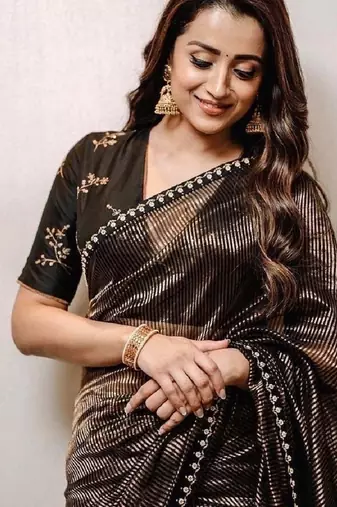 Black Gold Zari Lining Sequins Embroidered Tissue Saree