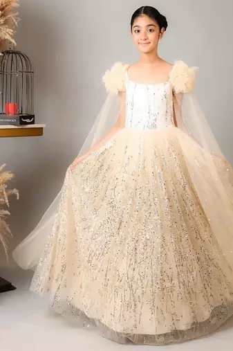 Gold embroidered net gown