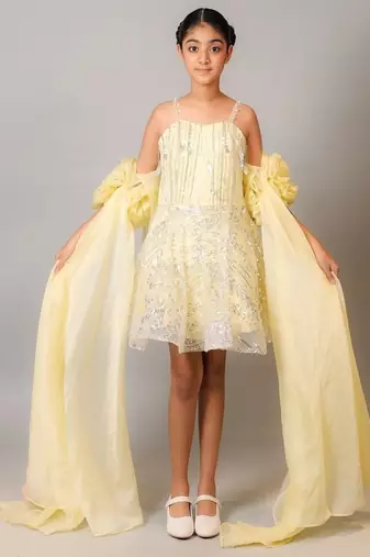 Yellow embroidered organza dress