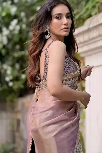 Lavender sequin And Dori Embroidered Twil Net Saree