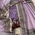 Lavender sequin And Dori Embroidered Twil Net Saree