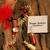Red stone pearl kundan rakhi