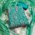 Women's turquoise embroidered dress material
