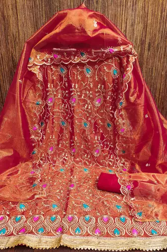 Women's rust embroidered dress material