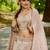 Nude colour Tissue sequin embroidery Semi-Stitched Lehenga choli & Dupatta