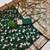 Dark Green Color Banarasi Silk Meenakari Design Saree
