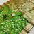 Light Green Color Banarasi Silk Meenakari Design Saree