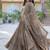 Beige star georgette with rich sequins embroidered work gown dupatta