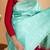 Pastel green borderless silk saree