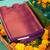 Aqua blue and purple semi silk saree