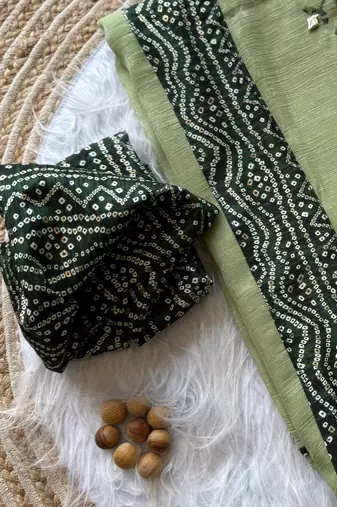 Light Green Mirror And Thread Embroidered Crunchy Chiffon Saree