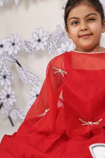 Crimson wings girls gown red dress with dragonfly cape