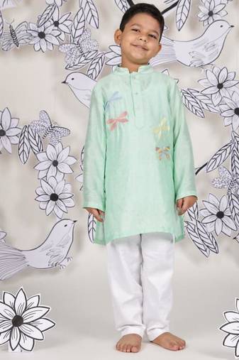 Dragonfly dream boys kurta set soothing mint with dragonfly embroidery