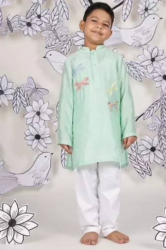 Dragonfly dream boys kurta set soothing mint with dragonfly embroidery