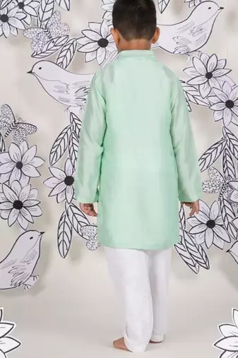 Dragonfly dream boys kurta set soothing mint with dragonfly embroidery