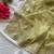 Olive Color Zari Embroidery With Sequins Work Georgette Saree