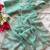 Sea Green Zari Embroidery With Sequins Work Georgette Saree