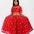 Red animal printed chanderi lehenga