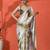 Gold chinon digital printed saree