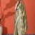 Pista chinon digital printed saree