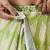 Pista muslin printed ready to wear saree