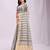 Sky blue organza woven patta saree