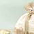 White silk potli bag
