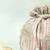 Multicolor silk potli bag
