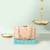 Multicolor silk clutch