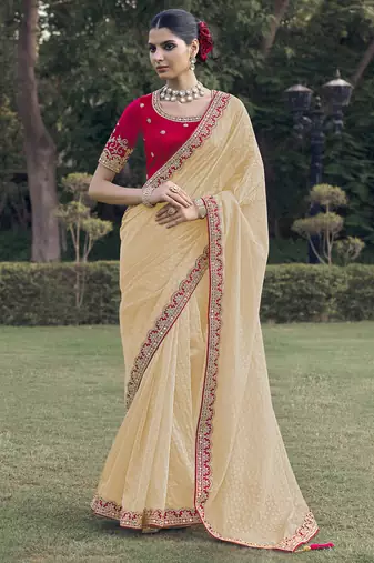 Chiku embroidered fancy fabric saree with designer blouse fabric