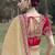 Chiku embroidered fancy fabric saree with designer blouse fabric
