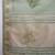 mint tissue linen handwork saree with unstitched blouse