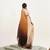 Brown chiffon saree with beads work party wear with blouse