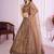 GRACEFUL BROWN SEQUINS THREAD BADLA ZARI EMBROIDERED SOFT NET FESTIVAL PARTY WEDDING SEMI STITCHED LEHENGA CHOLI