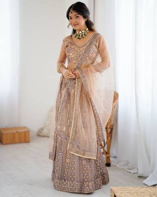 Beige Butterfly Net Embroidery And Sequins Work Lehenga choli 1