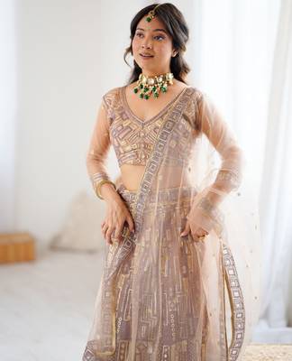 Beige Butterfly Net Embroidery And Sequins Work Lehenga choli 2