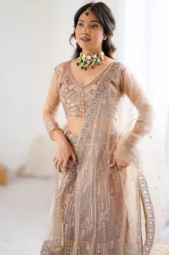 Beige Butterfly Net Embroidery And Sequins Work Lehenga choli