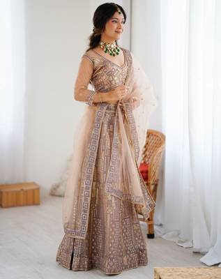 Beige Butterfly Net Embroidery And Sequins Work Lehenga choli 4