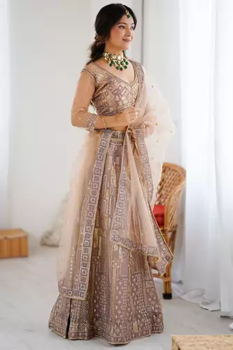 Beige Butterfly Net Embroidery And Sequins Work Lehenga choli
